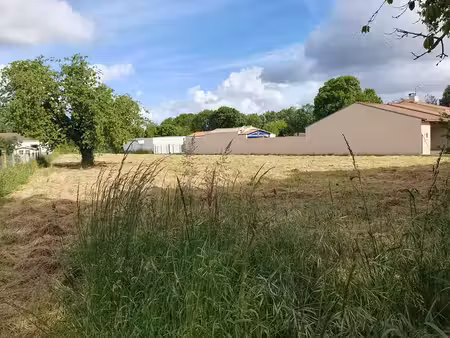 vente terrain pessines 17810 - - surface privée