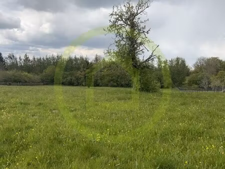 terrain