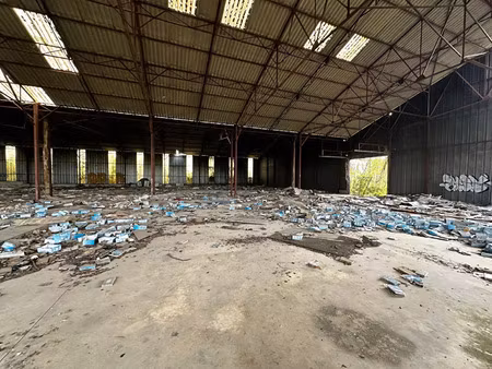 vente terrain 8900 m² saint-germain-du-puy (18390)