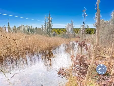 terrain de loisirs à vendre dans le controis en sologne/ un cadre verdoyant