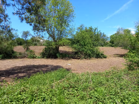 vente terrain 4031 m² arnay-le-duc (21230)