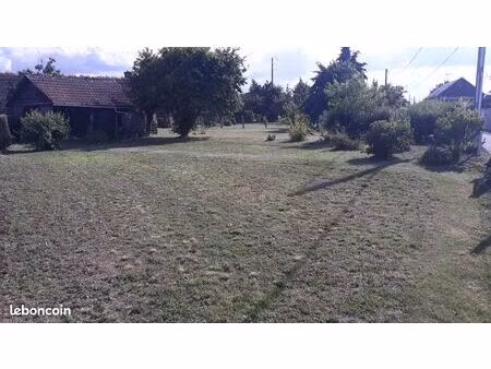 terrain constructible