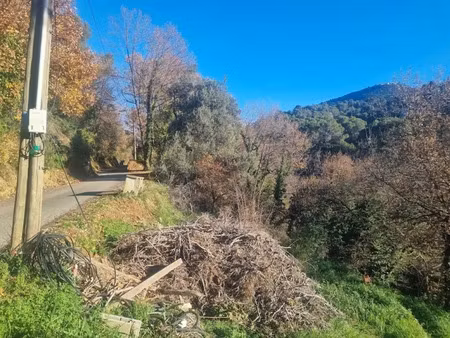 vente terrain à batir 2920 m² à colomars (06670)  198 000 €