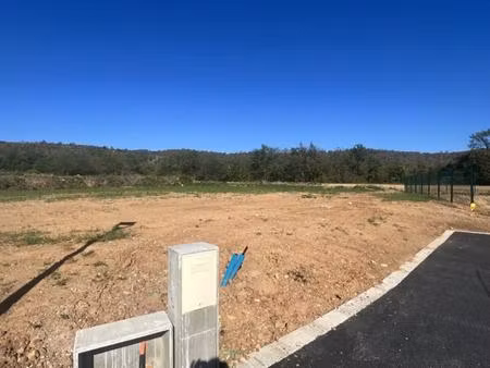 terrain