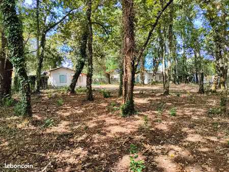 terrain constructible 2540 m2