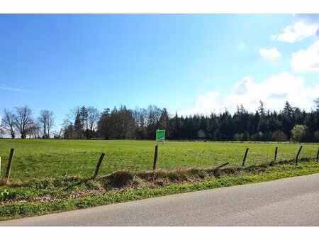 terrain à bâtir