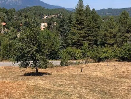 terrain constructible