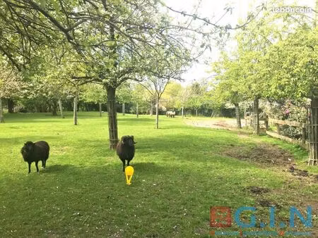 terrain 1 387 m² le bocasse