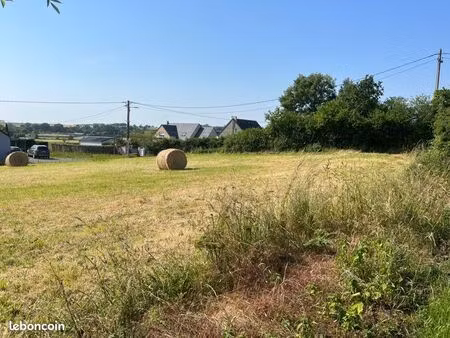 terrain constructible