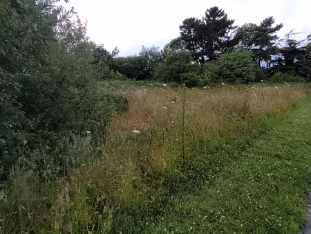 rare à la vente  terrain plat 2700m2 constructible  côté mer