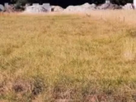 terrain constructible