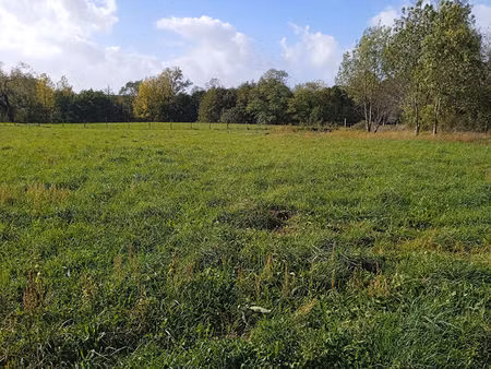 a vendre terrain a batir viabilise de 997 m2 - val-de-livenne