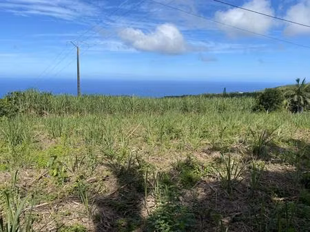 vente terrain 1103 m² saint-joseph (97480)