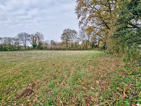 terrain saint maixent sur vie 1311 m2