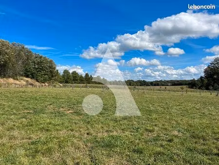 terrain 17741 m² suarce