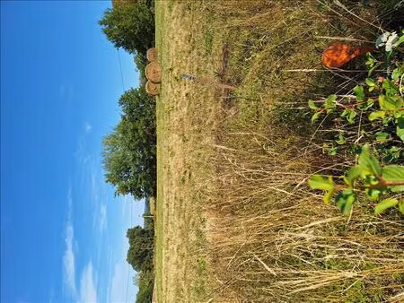 vente terrain 1610 m² villeneuve-de-marsan (40190)