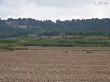terrain agricole