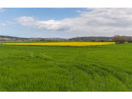 29520 châteauneuf du faou 2 hectares 600 de terre agricole