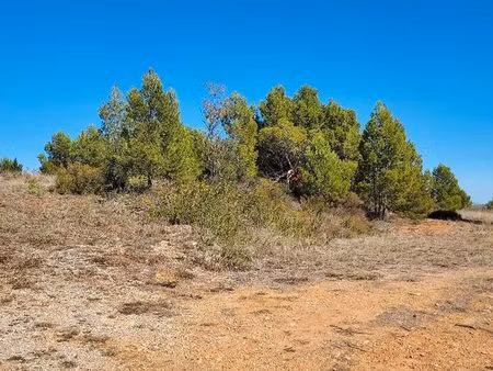 terrain agricole
