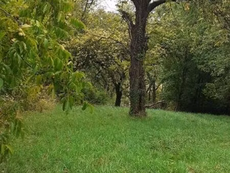 terrain arboré non constructible