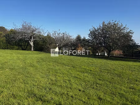 vente terrain 1239 m² saint-jean-soleymieux (42560)