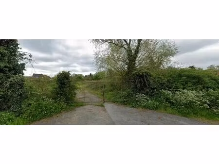 terrain à vendre à rue du sarrazin quevaucamps (vbc00681)