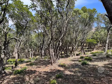 vente terrain 25956 m² à saint-raphael (83700)  50 000 €