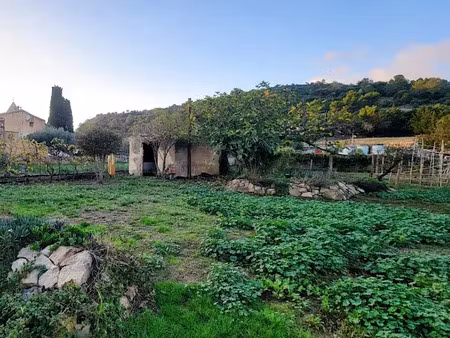 vente locaux professionnels 1 pièce 35 m² à lagrasse (11220)  99 000 €