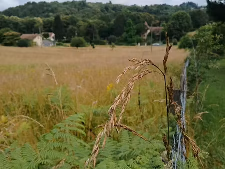 vente terrain 1738 m² à sarlat-la-caneda (24200)  30 500 €