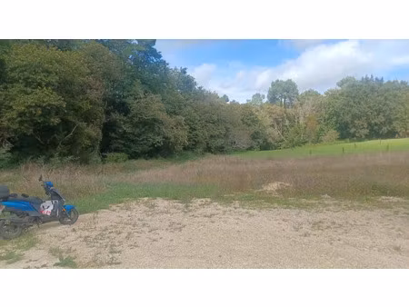 vente terrain 1121 m² à proissans (24200)  29 000 €