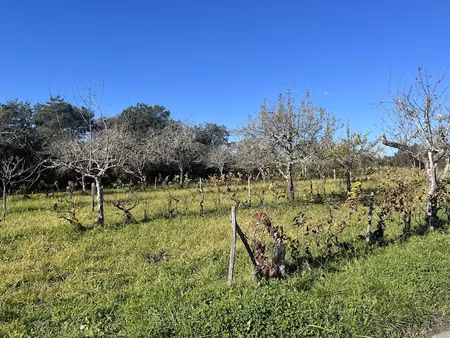 vente terrain 2199 m² à sarlat-la-caneda (24200)  61 174 €