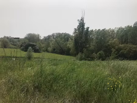 vente terrain 760 m² à puylaurens (81700)  44 000 €