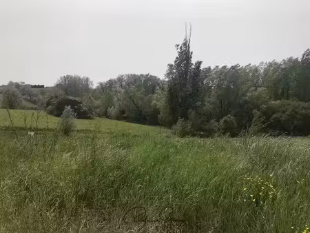 vente terrain à puylaurens (81700)  44 000 €