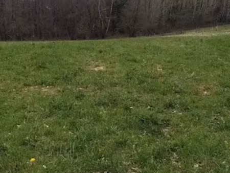 vente terrain 1918 m² à marcillac-saint-quentin (24200)  45 000 €