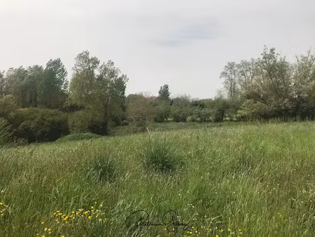 vente terrain à puylaurens (81700)  46 000 €