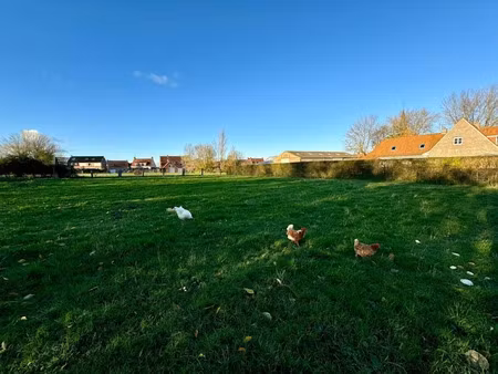 vente terrain 970 m² à zuytpeene (59670)  87 900 €