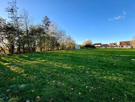 vente terrain 1050 m² à zuytpeene (59670)  98 700 €