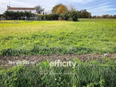 vente terrain à saint-philbert-de-grand-lieu (44310) : à vendre / 585m² saint-philbert-de-