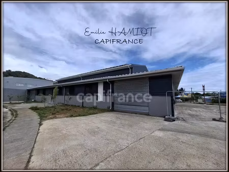 location locaux professionnels 9 pièces 1000 m² à le robert (97231)  19 000 €