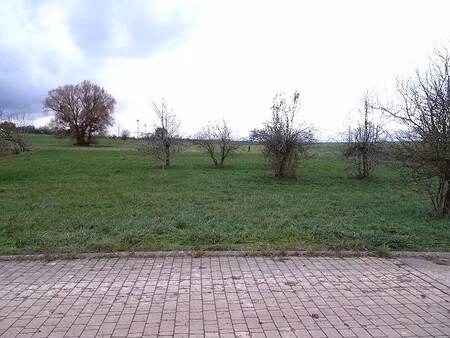 en vente terrain constructible 8 01 ares – 61 000 € |launstroff