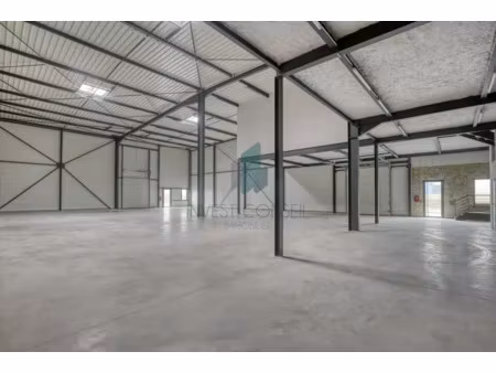 local d'activités a louer