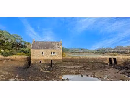 maison avec terrasse saint-philibert (56)