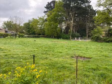 vente terrain à gétigné (44190) : à vendre / gétigné