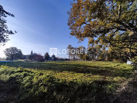 terrain puydaniel 788m2