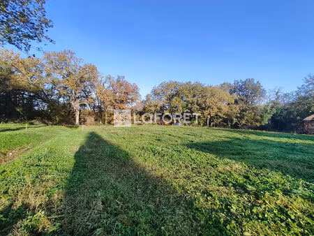 terrain puydaniel 813m2