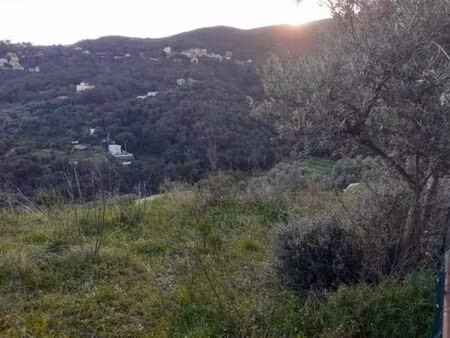 vente terrain 798 m² ville-di-pietrabugno (20200)