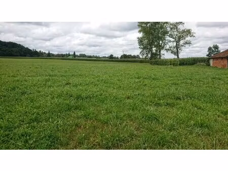 sault de navailles terrain plat constructible de 2361m2