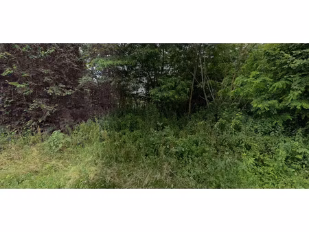 vente terrain 1300 m² à marsac-sur-l'isle (24430)  60 000 €