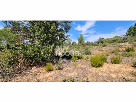 terrains saint andre de roquelongue