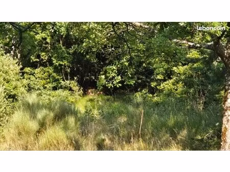 vente terrain à mons non constructible